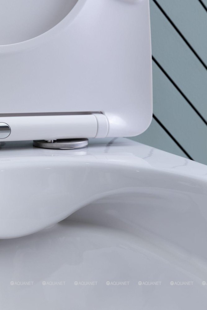 Унитаз подвесной Aquanet Rimless Cetus 2.0 W LX-1901