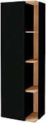 Шкаф-пенал Jacob Delafon Terrace 50 EB1179G-M61 черный